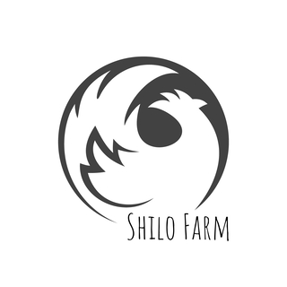 Shilo Community Barn